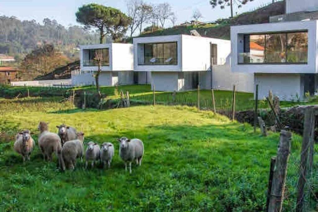 Viana Do Castelo - Amonde Village - Casa L - Disfrute Da Natureza ภายนอก รูปภาพ